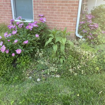 Midway Landscaping and Powerwash - Before - Landscaping Near Me Midway Landscaping and Powerwash - Before - Landscaping Near Me
