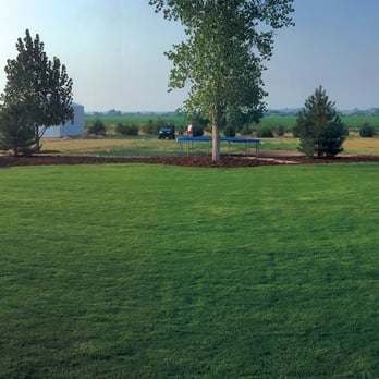 Graff's Turf - Sod ideal for Colorado, Kansas, Wyoming and Nebraska lawns - Artificial Turf Near Me - Fort Morgan, Colorado Graff's Turf - Sod ideal for Colorado, Kansas, Wyoming and Nebraska lawns - Artificial Turf Near Me - Fort Morgan, Colorado