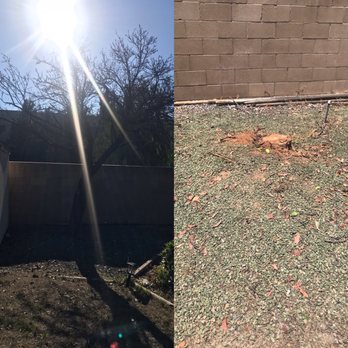 D's R Trees - Full tree removal - Tree Services Near Me D's R Trees - Full tree removal - Tree Services Near Me