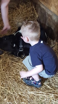 Grandpa Tiny's Farm by null