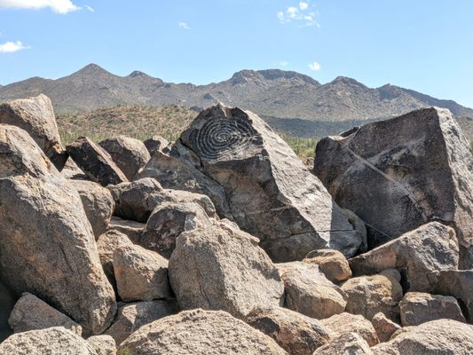 Tucson Mountain District by null