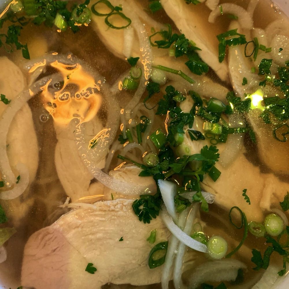 Pho Bistro 2 - Chicken pho - very flavorful broth. - Vietnamese Near Me - Lewisville, Texas Pho Bistro 2 - Chicken pho - very flavorful broth. - Vietnamese Near Me - Lewisville, Texas