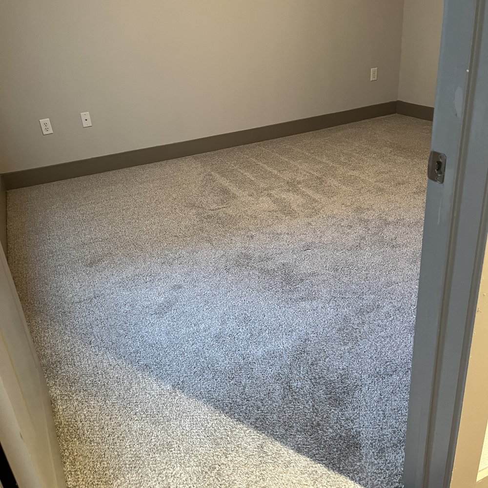 StoneLedge Apartments Grapevine - Our horrifically stained soiled matted carpet per management which definitely warrants pulling up and investigating :) - Apartments Near Me - Grapevine, Texas