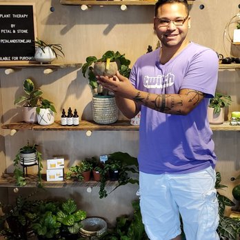 Wildcrafters - DOUBLE KAVA! - Tea Rooms Near Me - Jacksonville, Florida