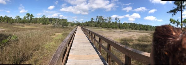 Skidaway Island State Park by null
