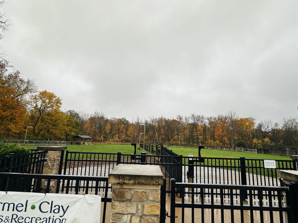 CENTRAL PARK DOG PARK Updated August 2024 15 Photos 1427 E 116th