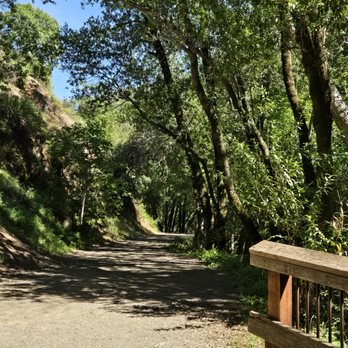 Uvas Canyon County Park - Parks Near Me - Morgan Hill, California