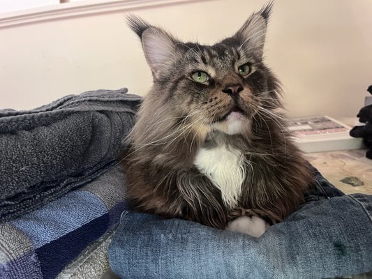 Knapps Service & Appliance Repair