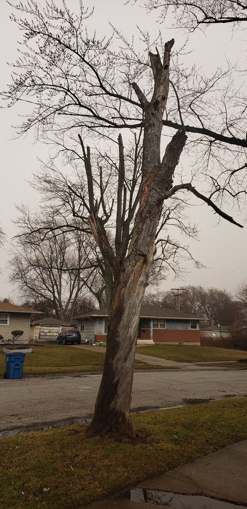 Slide of Swelfer Operations