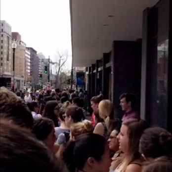 CAVA - The line for FREE opening day lunch - Mediterranean Near Me - Washington, DC, District of Columbia
