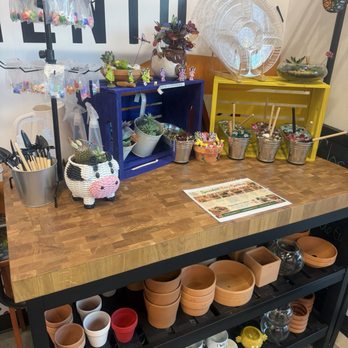 The Hot Spot - Succulent potting section - Paint-Your-Own Pottery Near Me - Sacramento, California The Hot Spot - Succulent potting section - Paint-Your-Own Pottery Near Me - Sacramento, California