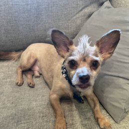 Charlie is a loyal fan! Charlie is a loyal fan!