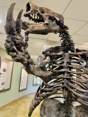 Big Bone Lick State Historic Site by null