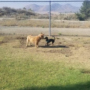 Hound Town Dog Park - Dog Parks Near Me - Moreno Valley, California