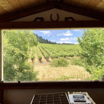 Porter Creek Vineyards - Beautiful view of the vineyards from their indoor tasting area - Wineries Near Me - Healdsburg, California Porter Creek Vineyards - Beautiful view of the vineyards from their indoor tasting area - Wineries Near Me - Healdsburg, California
