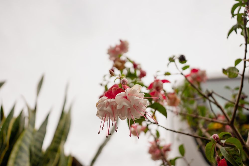 TRINITY WELLNESS CENTER Updated October 2024 11 Photos & 14 Reviews