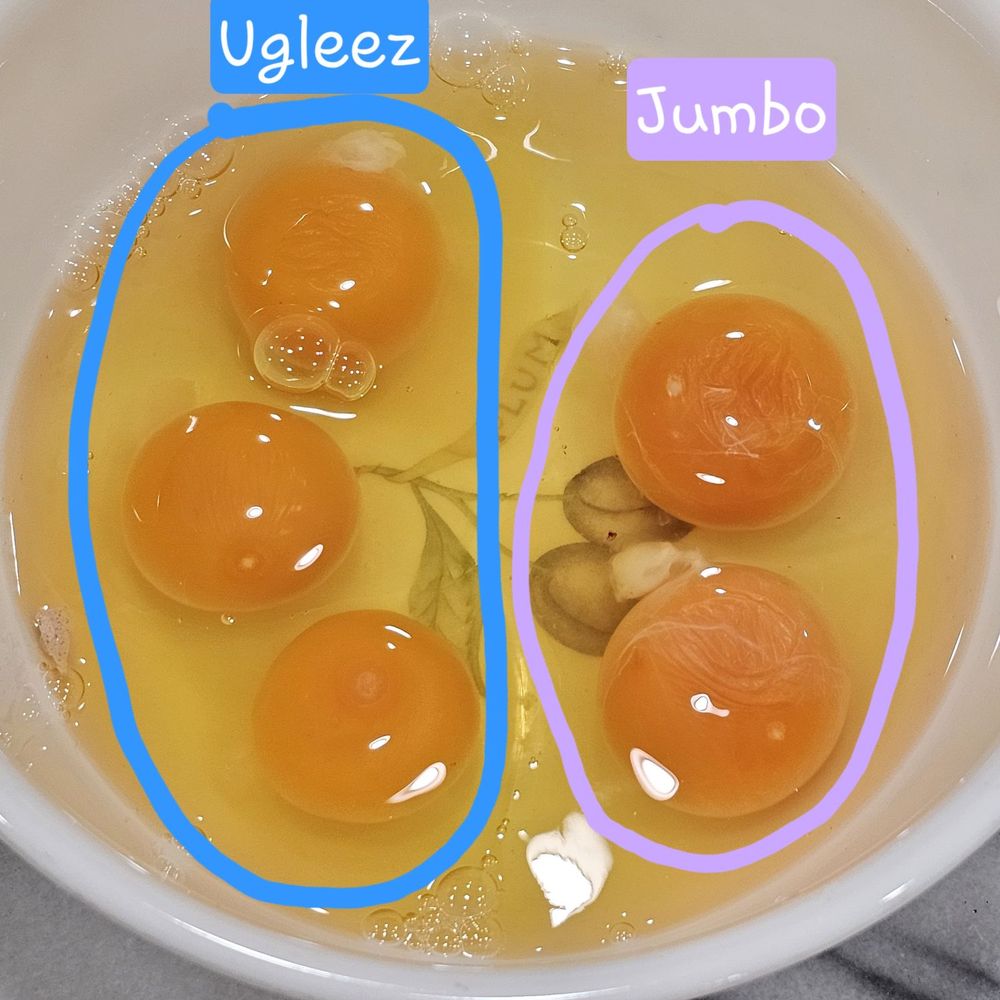 Billy's Egg Farm - Ugleez and Jumbo comparison. 4/4/2026 - Specialty Food Near Me - Chino, California