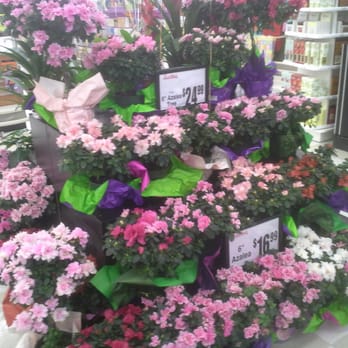 Lucky - Floral - Grocery Near Me - Fremont, California Lucky - Floral - Grocery Near Me - Fremont, California