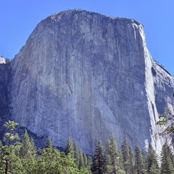 Yosemite Family Adventures - El Capitan