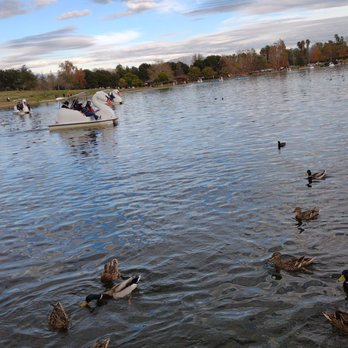 Lake Balboa/Anthony C. Beilenson Park - Ducks - Parks Near Me - Van Nuys, California Lake Balboa/Anthony C. Beilenson Park - Ducks - Parks Near Me - Van Nuys, California