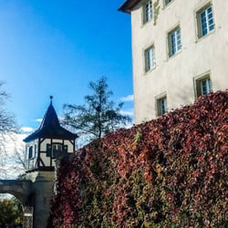 Schloß Roseck