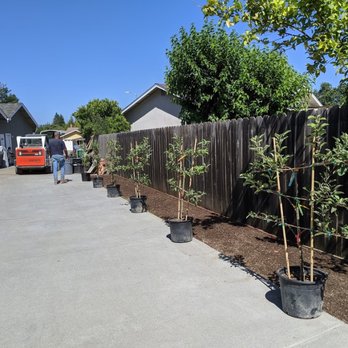 Leija Concrete - Masonry/Concrete Near Me