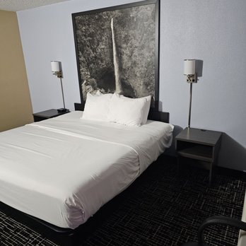Super 8 - Bedroom - Hotels Near Me - Paducah, Kentucky Super 8 - Bedroom - Hotels Near Me - Paducah, Kentucky