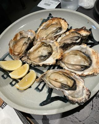 Yakigaki No Hayashi by null