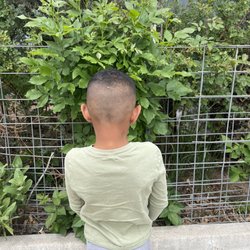 Barber St John - Fresh Cut for the Weekend
