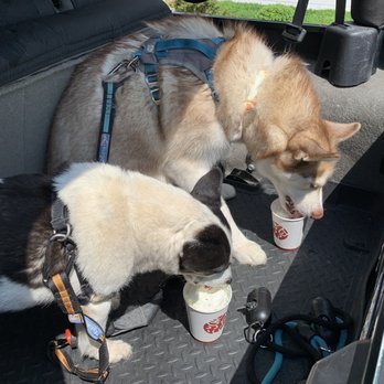 Sweetwaters Coffee & Tea - Dog treat cups - Coffee & Tea Near Me - Smithtown, New York Sweetwaters Coffee & Tea - Dog treat cups - Coffee & Tea Near Me - Smithtown, New York