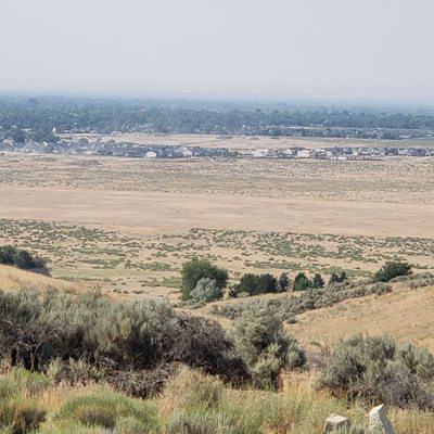 The Peregrine Fund's World Center For Birds of Prey by null