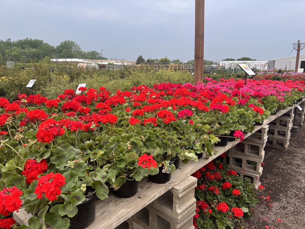 HINSDALE NURSERIES INC Updated October 2025 16 Photos & 49 Reviews