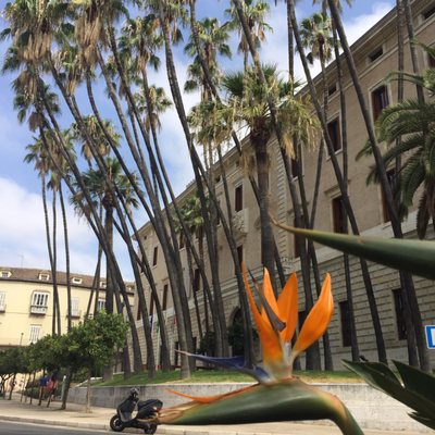 Malaga Museum by null
