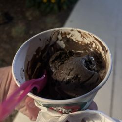 Zoreo