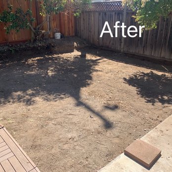 Eagle Junk Removal - Yard after cleanup . - Junk Removal & Hauling Near Me Eagle Junk Removal - Yard after cleanup . - Junk Removal & Hauling Near Me