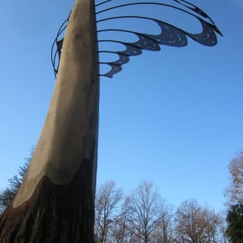 forest art - Active Life Near Me