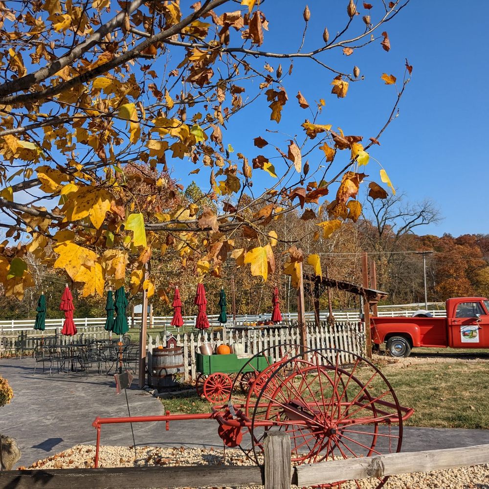 TOP 10 BEST Bridal Shower Locations near Wentzville, MO 63385 - Updated  2026 - Yelp