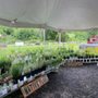 Ramsey's Farm