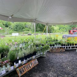 Ramsey's Farm - Native Plants