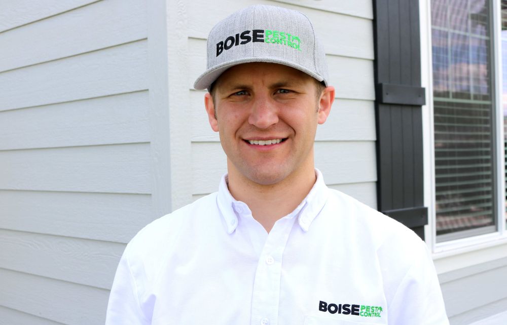BOISE PEST CONTROL nearby at 10400 W Overland Rd, Boise, Idaho 10 Photos & 31 Reviews Pest