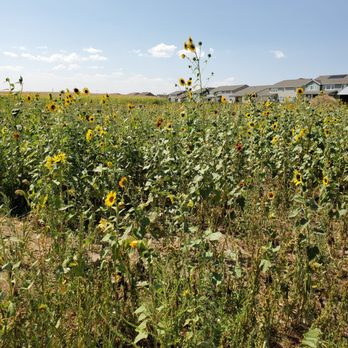 The Bee Hugger - Attraction Farms Near Me - Longmont, Colorado