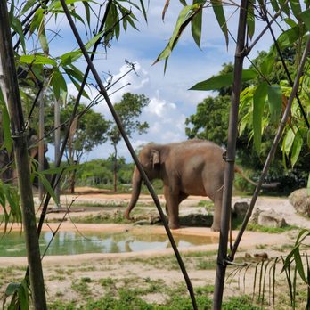 Zoo Miami - Zoos Near Me - Miami, Florida