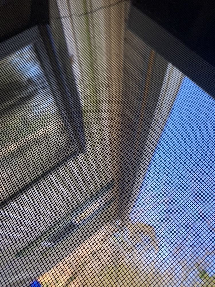 Slide of Southeastern Reconstruction