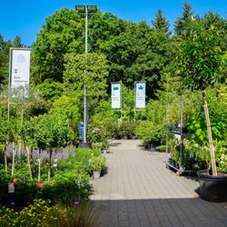 Gartencenter Kiefl
