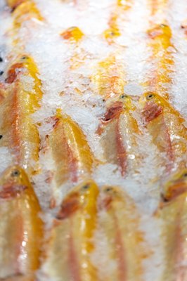 Pike Place Fish Market by null