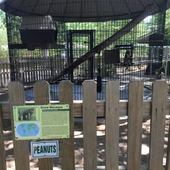 Tregembo Animal Park - Zoos Near Me - Wilmington, North Carolina Tregembo Animal Park - Zoos Near Me - Wilmington, North Carolina