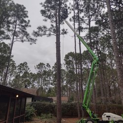 Cape Fear Tree Service