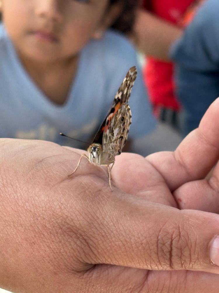 Kreative Kidz - childcare center in Carson, CA