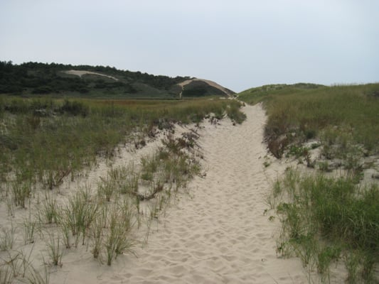 Great Island Trail by null