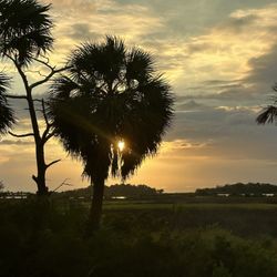 Shell Mound Campground
